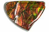 Iridescent Ammolite (Fossil Ammonite Shell) - Double Sided #310330-1